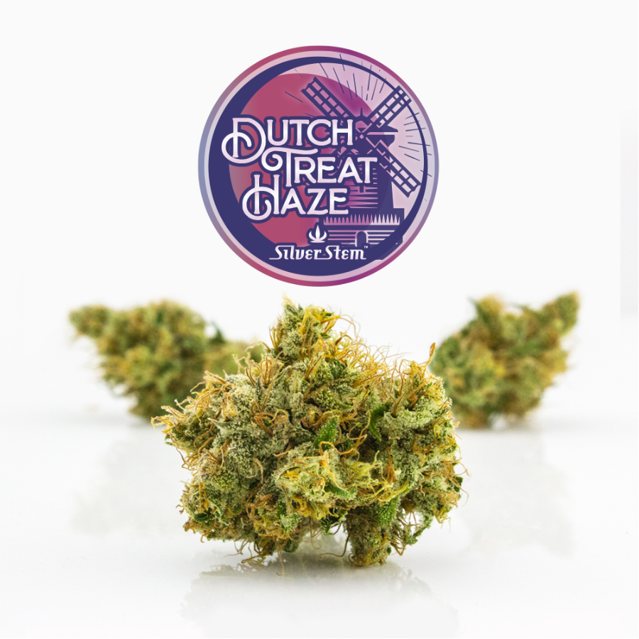 Dutch Treat