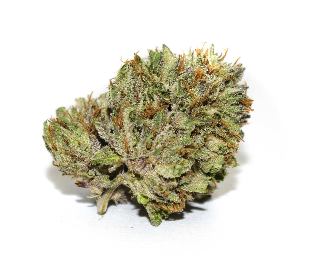 Berry White (IH)